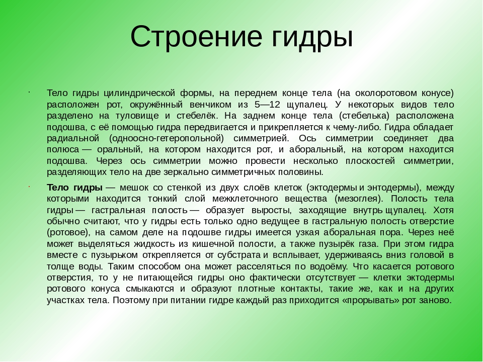 Как восстановить пароль на кракене